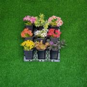 jardines con césped artificial y grava